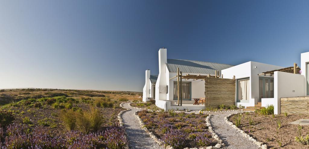 Strandloper Ocean Boutique Hotel Paternoster Esterno foto